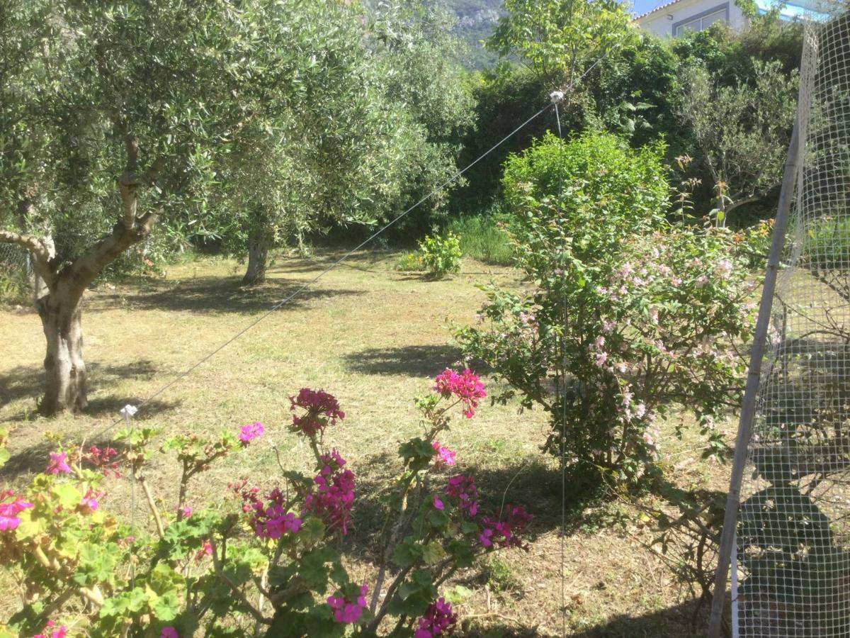 The Cabin, كيوبارِسِيا المظهر الخارجي الصورة